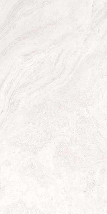 Petra Viva Bone Matte 24 x 48